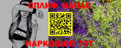 Альфа ПВП Новодвинск
