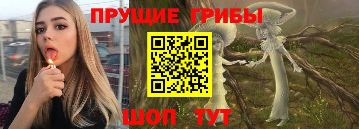 Топки  Псилоцибиновые грибы MAGIC MUSHROOMS  где купить   Вход с VPN 